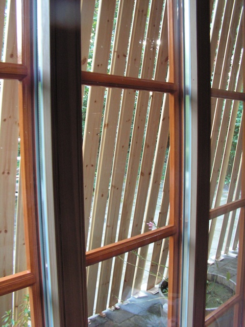 Grappig beeld door het kleine raam