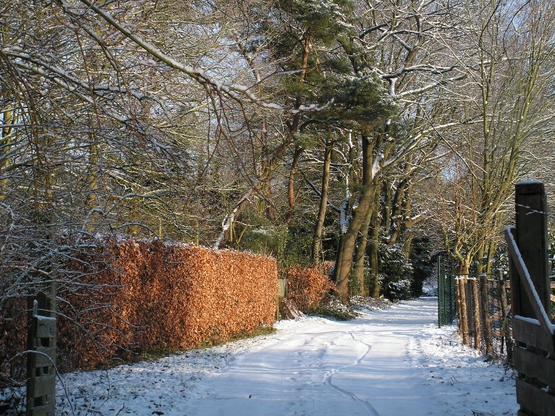 Het pad naar de weg