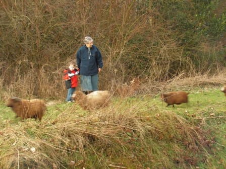 Gauw langs dat enge stel
