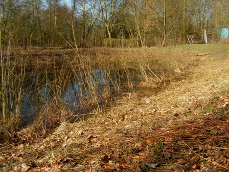 De laatste boonmpjes moeten nog als het water gezakt is.
