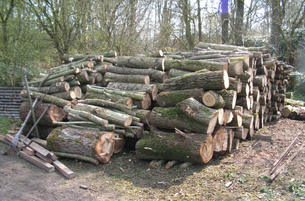 De houroogst van het weekeind.