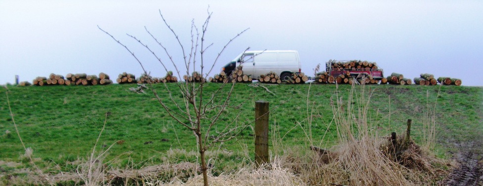 19 trekkervrachtjes op de dijk