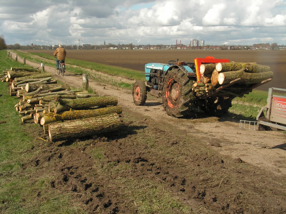 Plaatje met zon op zondag. Logisch toch?