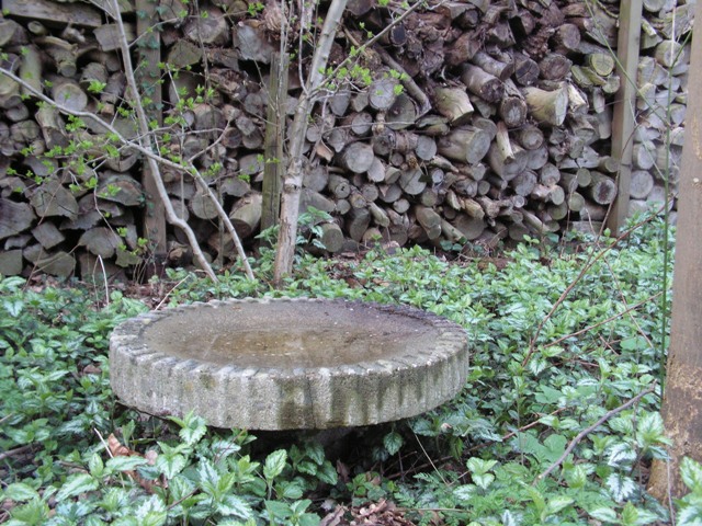 Vogeldrinkbak