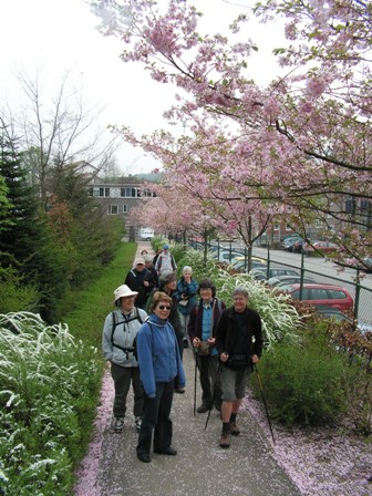 Bloemendaal
