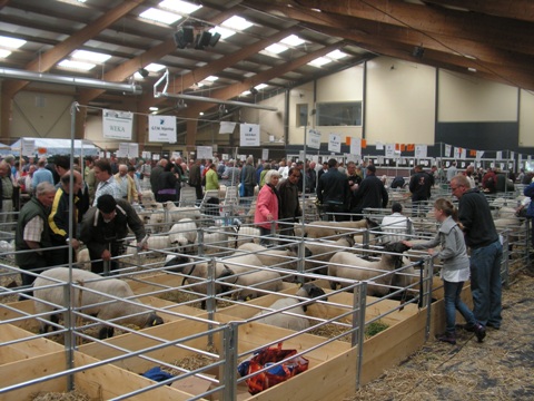 Overzicht van een van de twee hallen