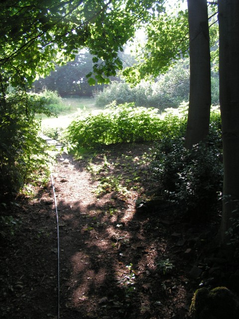 Rozenlaantje